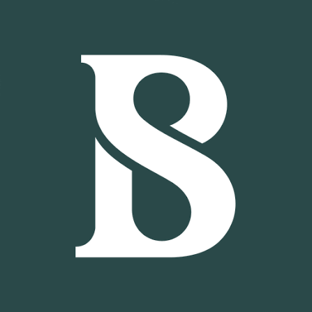 The Business Standard logo